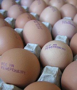 Куриные яйца с призывом «Все на референдум» поступили в продажу на Камчатке. Фото: ITAR-TASS. Загружается с сайта Ъ