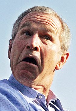 Общаясь с западными журналистами, президент США Джордж Буш во весь голос критиковал Россию и указывал на ее недостатки. Фото: REUTERS. Загружается с сайта Ъ