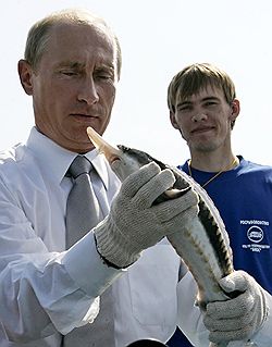 Реформирование премьер-министром Владимиром Путиным госуправления отраслью заставляет рыбаков сомневаться в будущем улове. Загружается с сайта Ъ