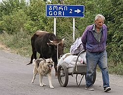 Жители грузинских сел спасаются от мародеров, увозя все имущество, которое у них осталось. Загружается с сайта Ъ
